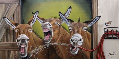 Laughing Donkeys