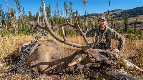 Wyoming Bull With A Bow Crazy Public Land Elk Hunt Youtube