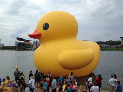 Rubber Duck Project By Florentijn Hofman Photomontage Yinz Youre The