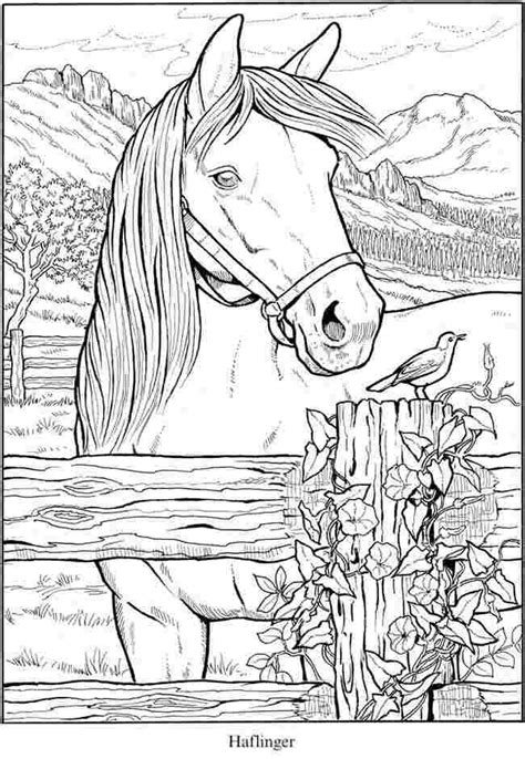 Realistic Coloring Pages Of Horses Callie Pendergrass