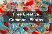 1000+ Engaging Creative Commons Photos Pexels · Free Stock Photos