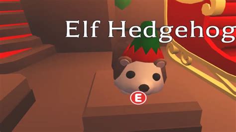 Buying A Ultra Rare Elf Hedgehog In Adopt Me Roblox Youtube