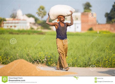 Farmer Is Carrying Bag On Them Head. Editorial Stock Image - Image of ...