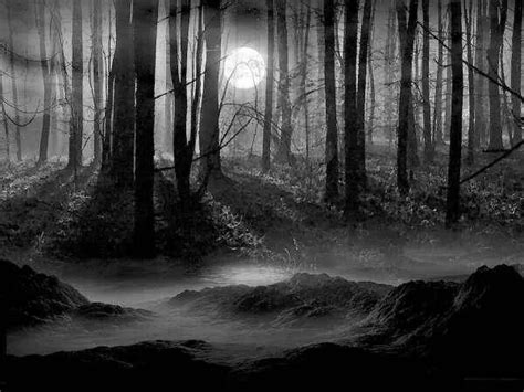 Gothic Forest Moon Dark Forest Magical Forest