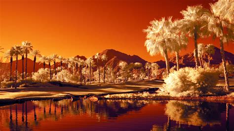 Orange Landscape Sfondi Gratuiti Per Desktop 1920x1080 Full Hd