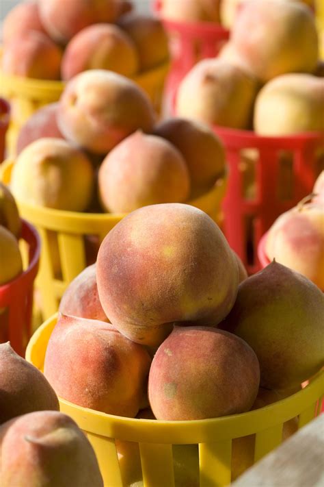 the peach is south carolina s official state fruit over 30 varieties of peaches are grown in