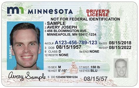 Blank State Id Template How To Make A Fake Idspecial Agent Pvc Id