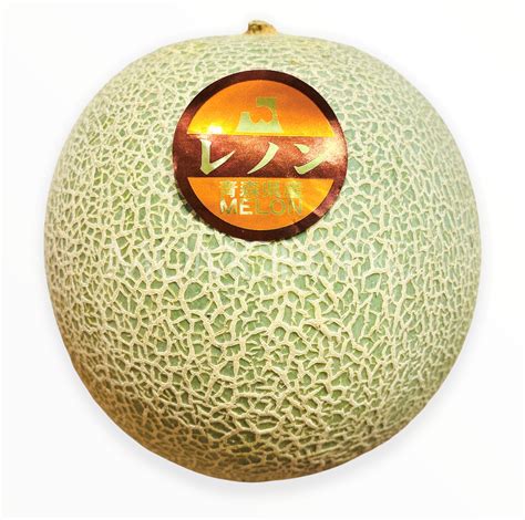 Japanese Lenon Red Melon Small Plus — Momobud
