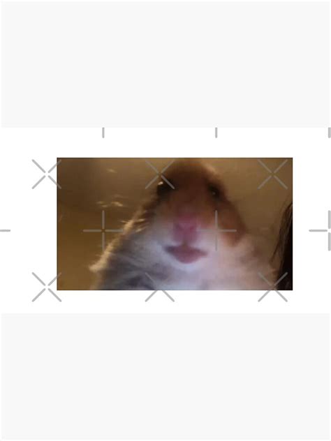 Hamster Staring Meme Poster For Sale By Mattred27 Redbubble