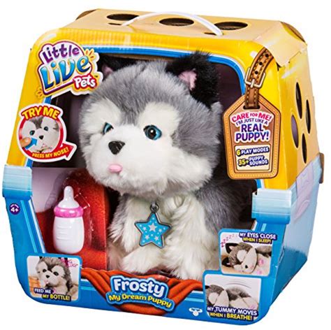 Bir kadın kapısının önünde, içinde bir adam olan bir kutu bulur ve adamı içeri alır. Little Live Pets Frosty My Dream Puppy - Buy Online in UAE ...