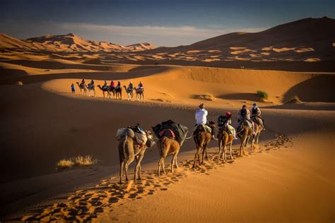He has an older sister and the last time i saw her she was 4. Bucket List: Ride a Camel in the Sahara Desert - Travel ...