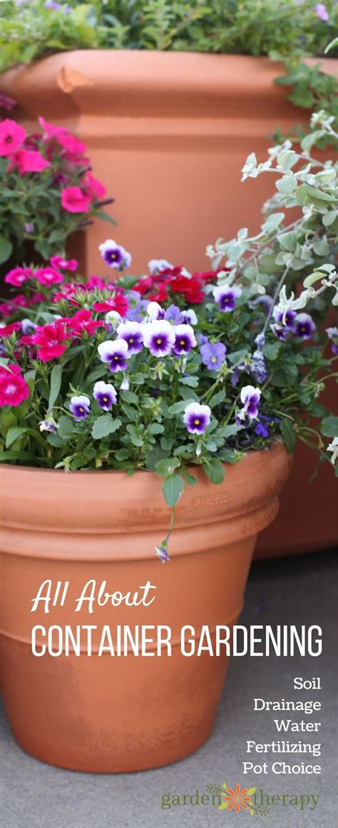 The Secret To The Perfect Container Garden Is To Create A Healthy