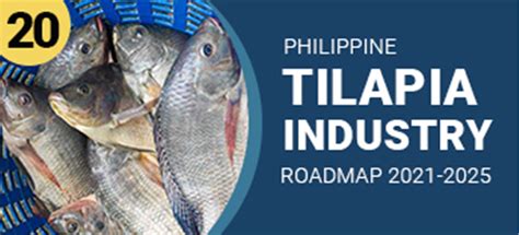 Philippine Tilapia Industry Roadmap Official Portal Of The Department