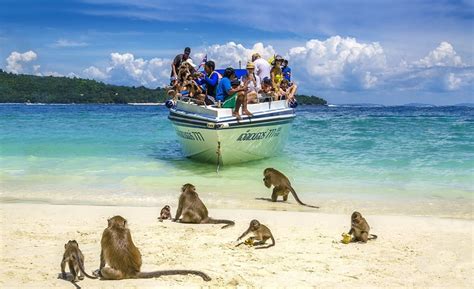 Kami memilih pulau pinang untuk bercuti. Tempat Best Bercuti Di Pulau Pinang