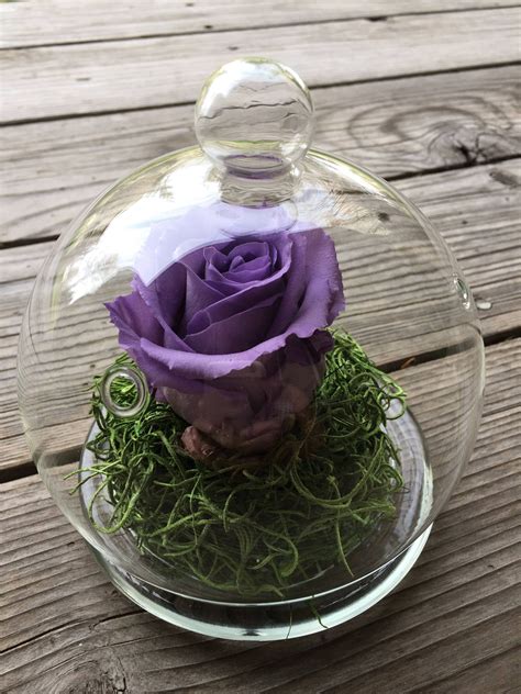 How to preserve flowers with glycerine | ehow.com. Preserved rose in a glass cloche, Preserved roses ...