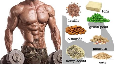 Top 11 High Protein Vegetarian Foods For Muscle Building