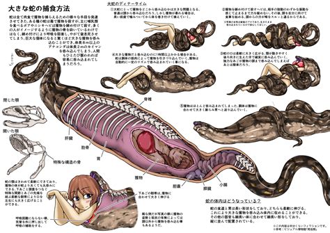 Vore… for science! : r/CreatureVore