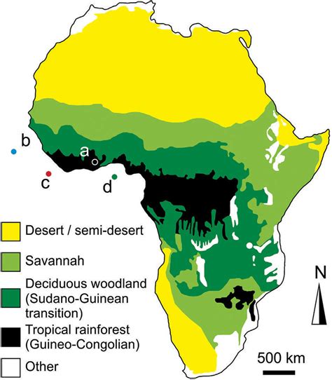 Africa Biome Map