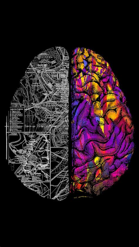 Heart And Brain Tobe Anatomy Duality Mind Hd Phone Wallpaper Peakpx