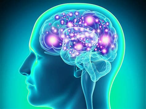 Bipolar Disorder Linked To Altered Brain Development