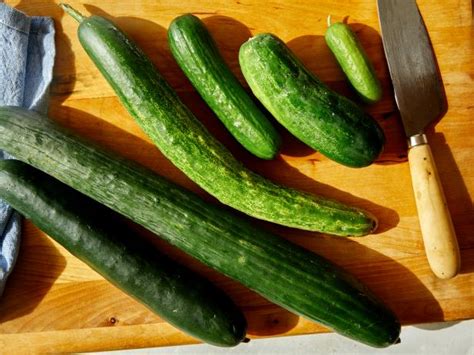 A Guide To The Different Types Of Cucumbers Cooking School Food Network