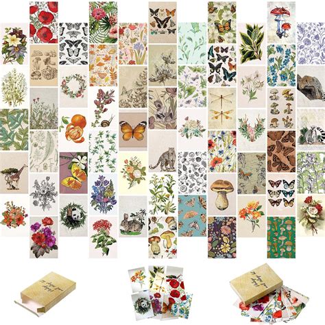 Buy 60 Pieces Vintage Wall Collage Botanical Kit Wall Collage Kit