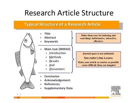 👍 Structure Of Research Paper Structure Of A Research Paper Tips To