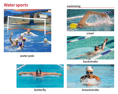 Sports medicine is an area of medical practice concerned with the treatment of injuries resulting from athletic activities. swimming noun - Definition, pictures, pronunciation and ...