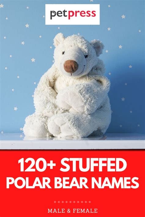 Best 120 Names For A Stuffed Polar Bear
