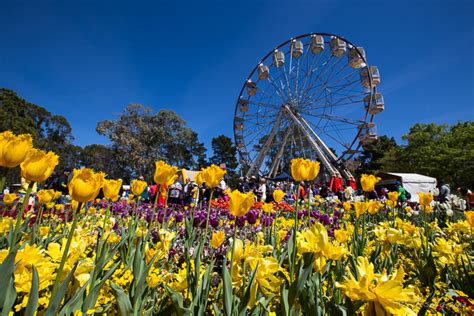 Celebrating Spring ~ Floriade 2013 Canberra Act Australia