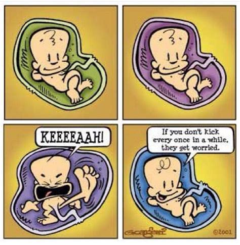 Pin On Pregnancy And Humor