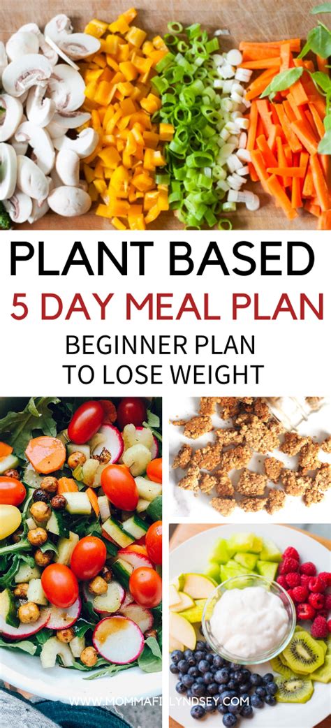 Maybe you would like to learn more about one of these? Plant Based Diet on a Budget for Beginners | Plant based ...