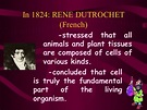 Cell structures, cell theory, biological diversity