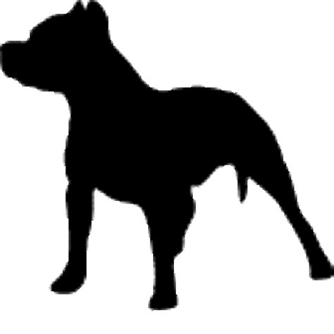 Download High Quality Dog Clipart Pit Bull Transparent Png Images Art