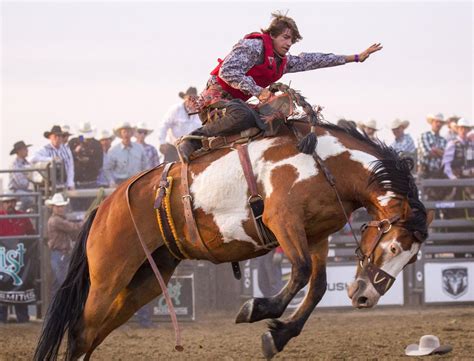 Bull Riders Battle It Out At The Top Nhsfr