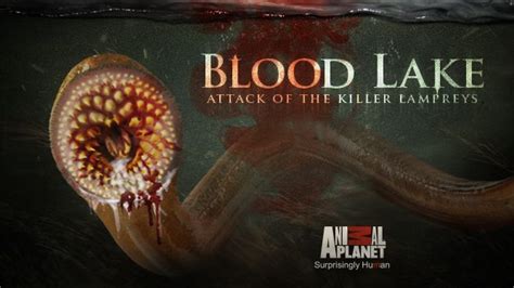 Blood Lake Attack Of The Killer Lampreys - Blood Lake: Attack of the Killer Lampreys (Review) | Horror Society