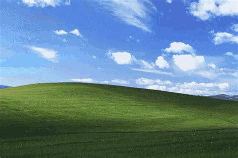 Windows Xp  Windows Xp Bliss Discover And Share S