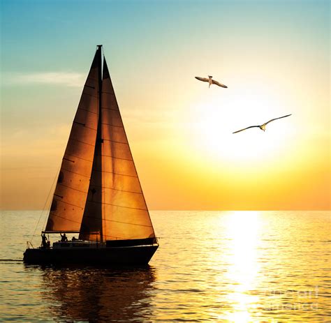 Yacht Sailing Against Sunset Holiday Photograph By Repina Valeriya