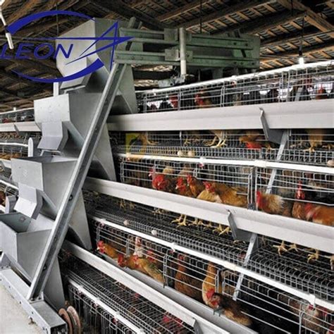 China Broiler Cage System Suppliers Manufacturers Factory Direct Price Leon Machinery