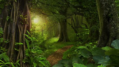 Photo Rays Of Light Jungle Nature Forest Tropics Trunk 1920x1080