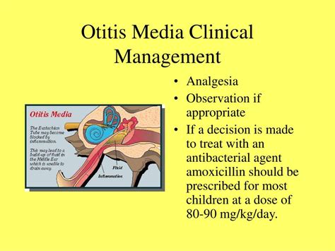 Ppt Upper Respiratory Tract Infections Powerpoint Presentation Free