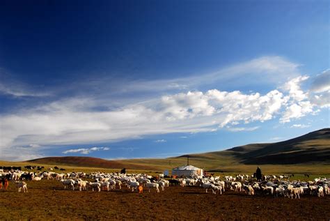 Pc Mongolia Wallpapers Kristal Kermitt