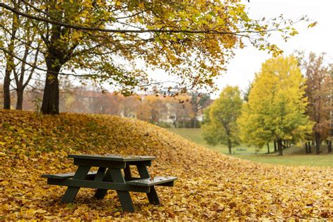 Photos From Haninge Stockholm And Södertörn Autumn Bench