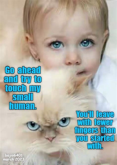 Try Is As Far As You Ll Get Lolcats Lol Cat Memes Funny Cats