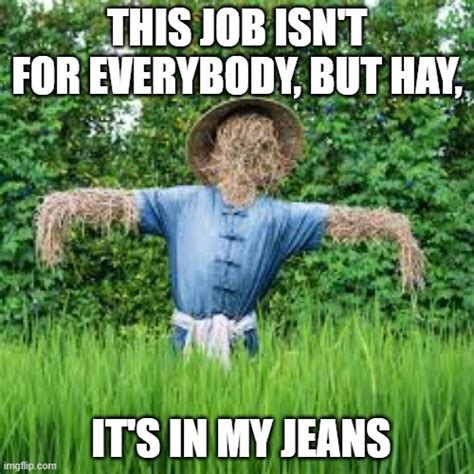 Hay Its In My Jeans Scarecrow Meme Imgflip
