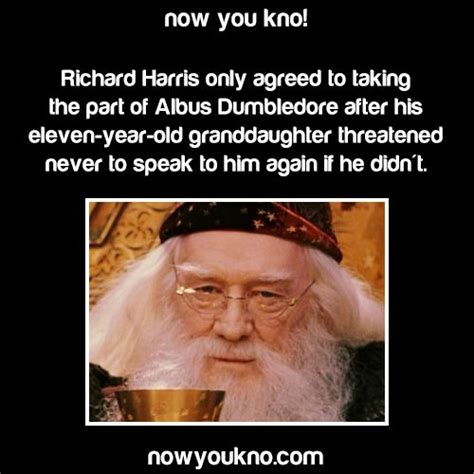 Harry Potter Harry Potter Fun Facts Wtf Fun Facts