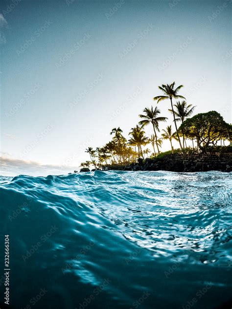Beautiful Tropical Island Paradise Photo From Swimming In Clear Aqua
