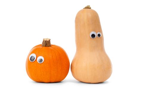 Funny Pumpkin Characters Free Stock Photo Public Domain Pictures