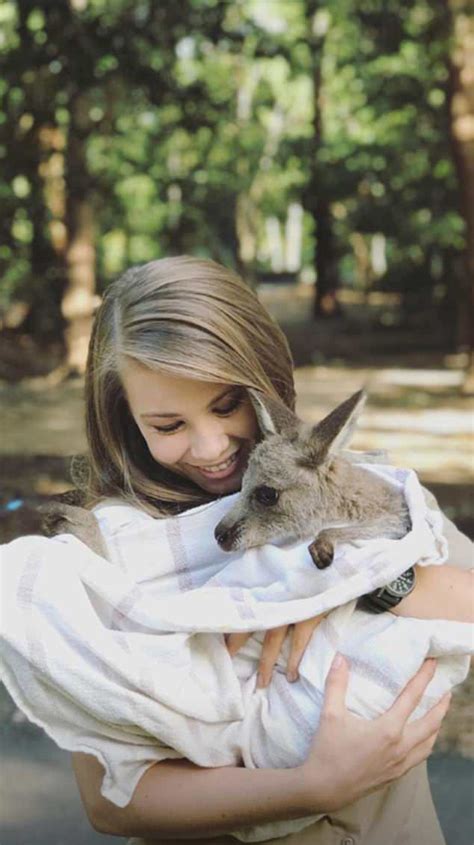 Every time we get an ultrasound she's incredibly energetic and always moving around. Bindi Irwin gently cradles a baby Kangaroo in cute ...