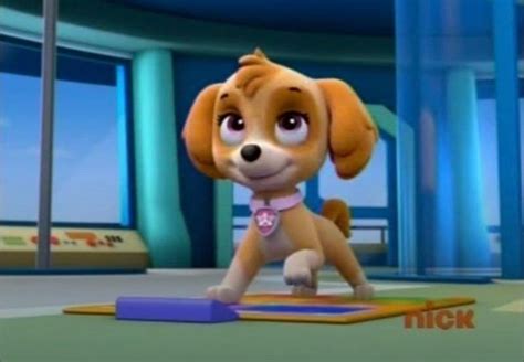 Pup Pup Boogie Skye By Connorneedham On Deviantart Skye Paw Patrol